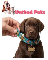 a pretty puppy collar